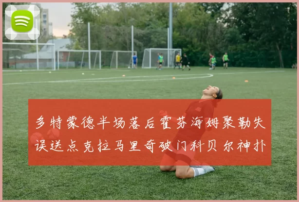 多特蒙德半场落后霍芬海姆聚勒失误送点克拉马里奇破门科贝尔神扑救险局