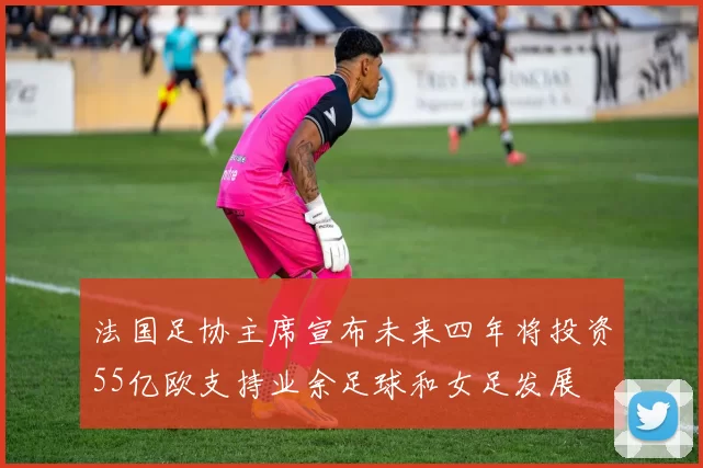 法国足协主席宣布未来四年将投资55亿欧支持业余足球和女足发展