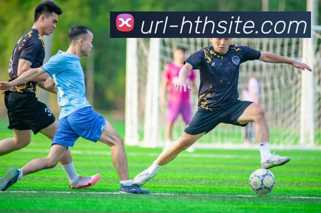 华体会平台生态图